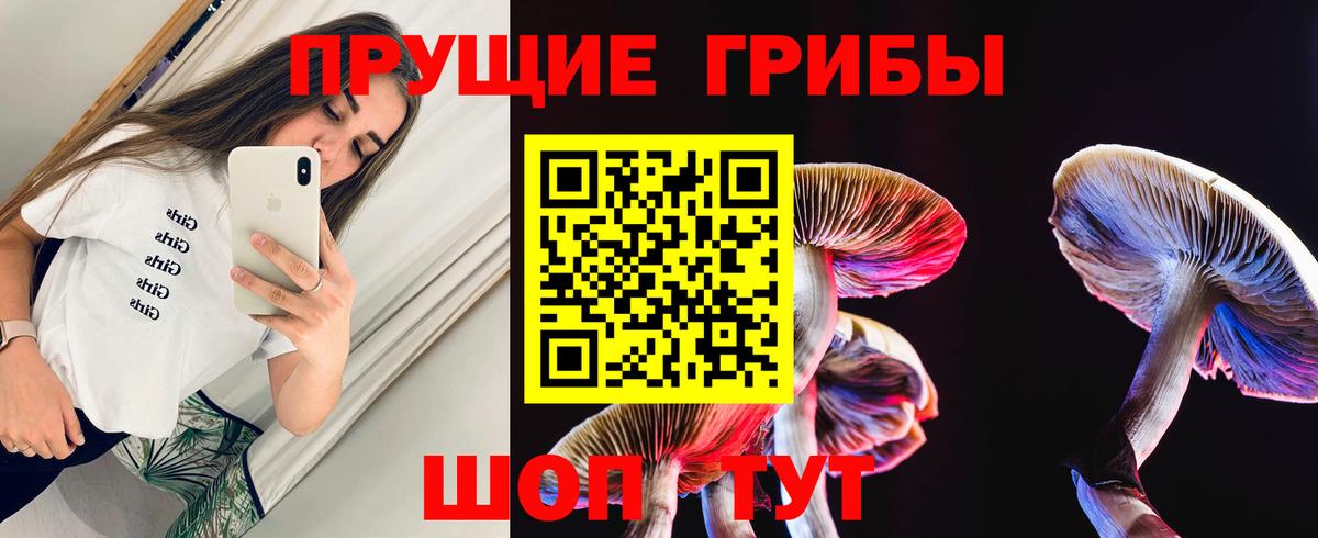 купить  цена  Галлюциногенные грибы мицелий  Вход с VPN  Галлюциногенные грибы MAGIC MUSHROOMS  Вичуга 